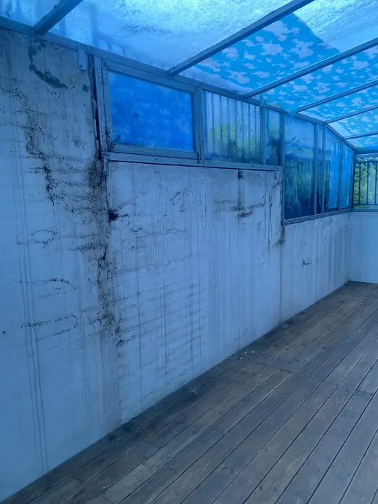곰팡이와 얼룩이 번진 베란다 벽면